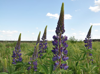 Similar image 193840