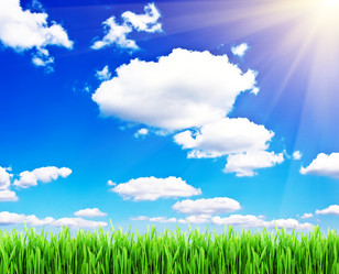 Similar image 193841