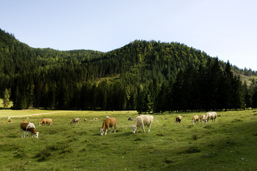 Similar image 193843