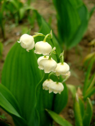 Similar image 193852