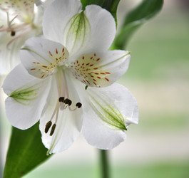 Similar image 193853