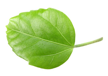 Similar image 193890