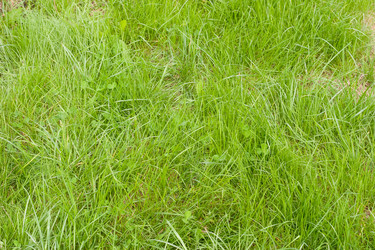 Similar image 193899