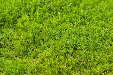 Similar image 193902