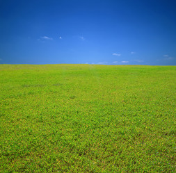 Similar image 193904