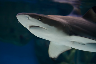 Similar image 193913