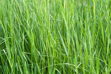 Similar image 193933