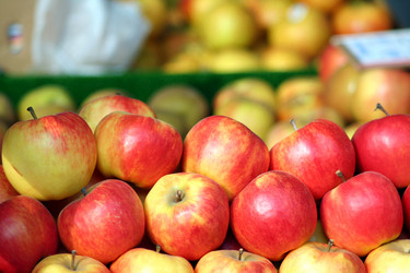 Similar image 193985