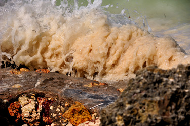 Similar image 194089