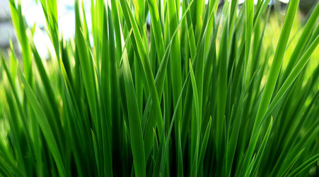 Similar image 194102