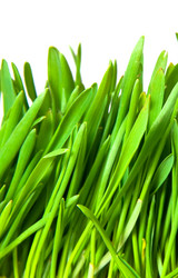 Similar image 194103