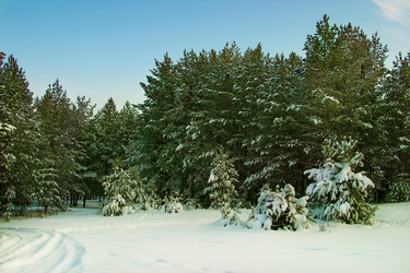 Similar image 194112