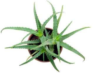 Similar image 194118