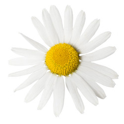 Similar image 194128