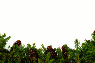 Similar image 194141