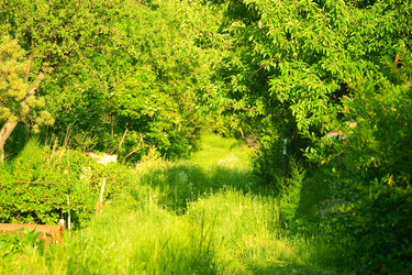 Similar image 194155