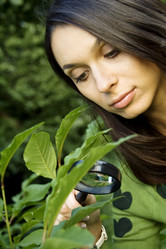 Similar image 194181