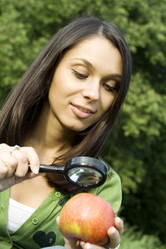 Similar image 194194