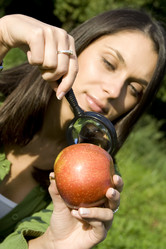 Similar image 194195