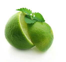 Similar image 194223