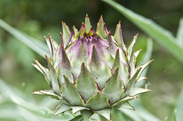 Similar image 194242