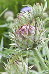 Similar image 194243