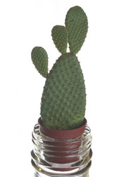 Similar image 194257