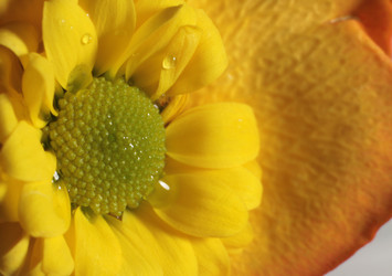 Similar image 194264