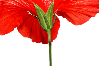 Similar image 194265