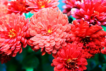 Similar image 194266