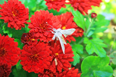 Similar image 194267