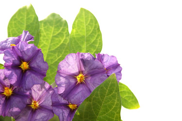 Similar image 194268