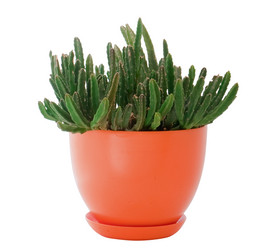 Similar image 194390