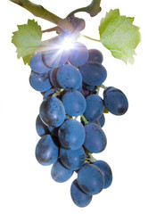 Similar image 194393