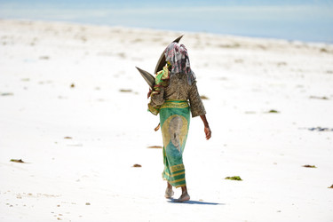 Similar image 194404