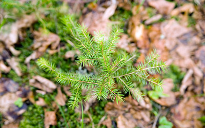 Similar image 194414