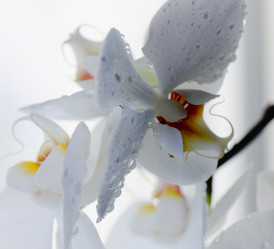 Similar image 194417