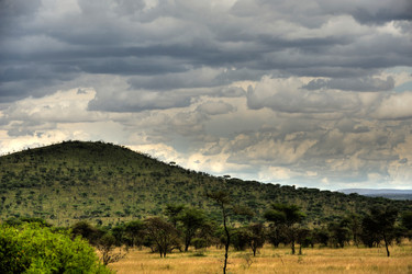 Similar image 194419