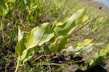 Similar image 194421