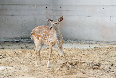 Similar image 194422