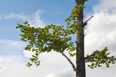 Similar image 194455