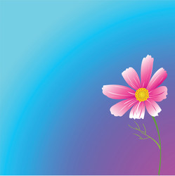 Similar image 194518