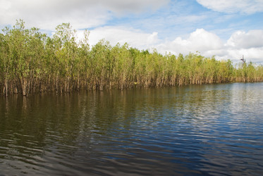 Similar image 194585