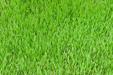 Similar image 194595