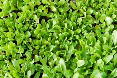 Similar image 194601