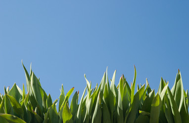 Similar image 194602