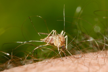 Similar image 194604