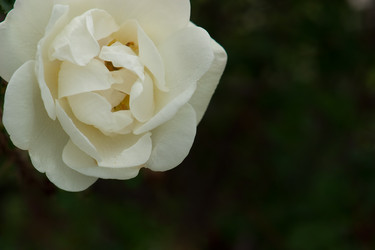 Similar image 194633