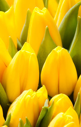 Similar image 194635