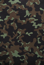 Similar image 194649